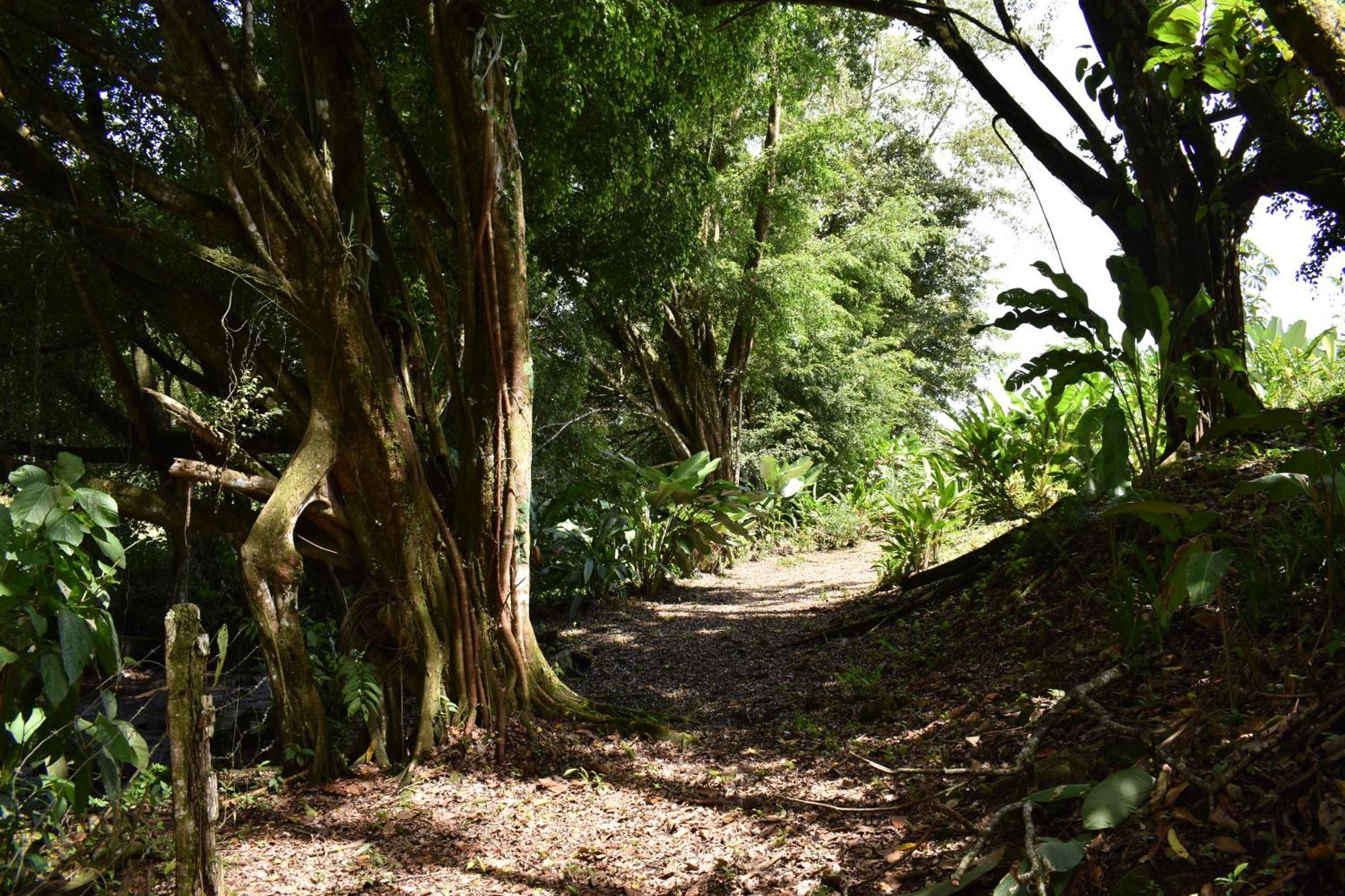 Hotel Arenal Country Inn La Fortuna Dış mekan fotoğraf