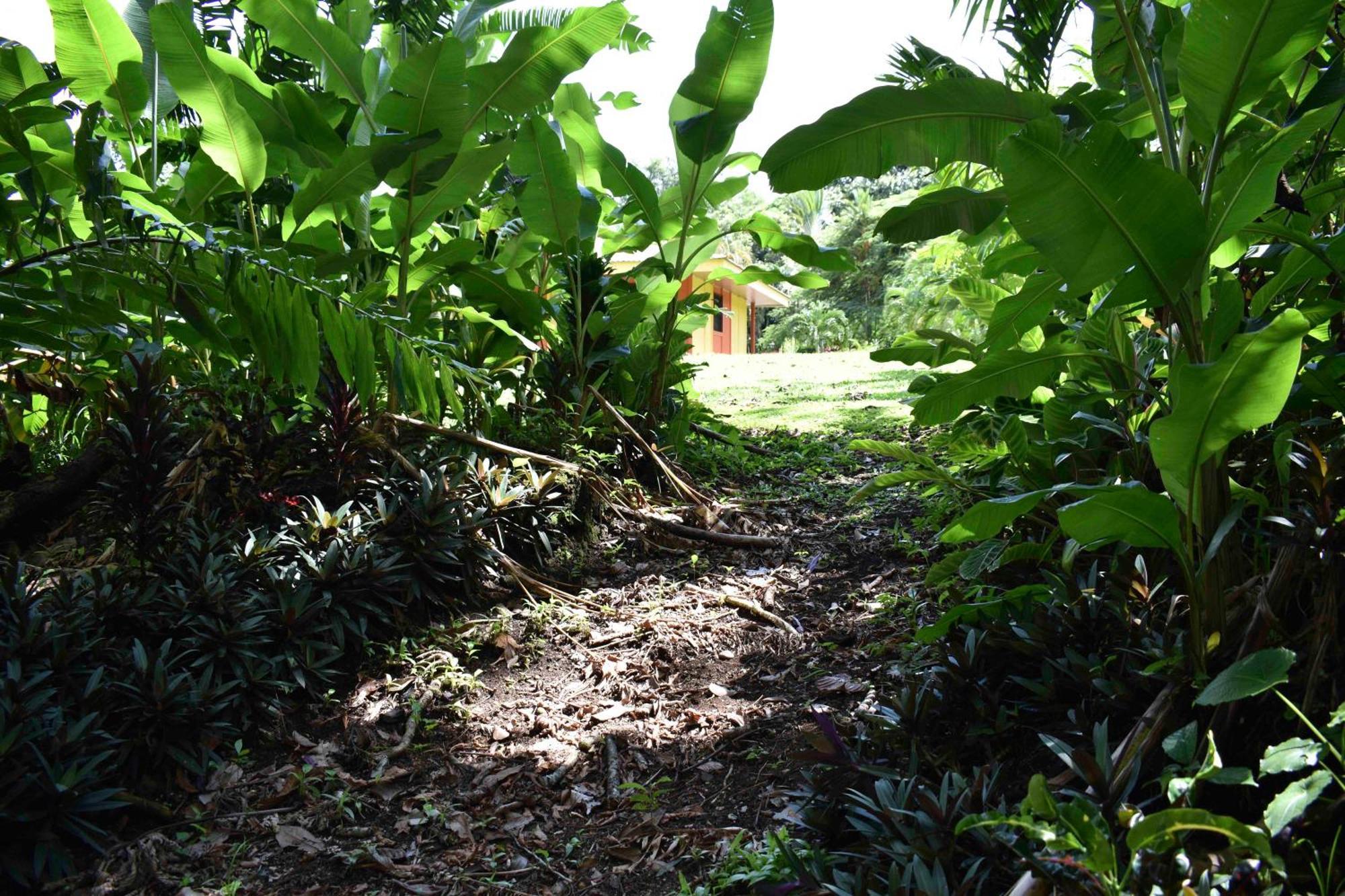 Hotel Arenal Country Inn La Fortuna Dış mekan fotoğraf