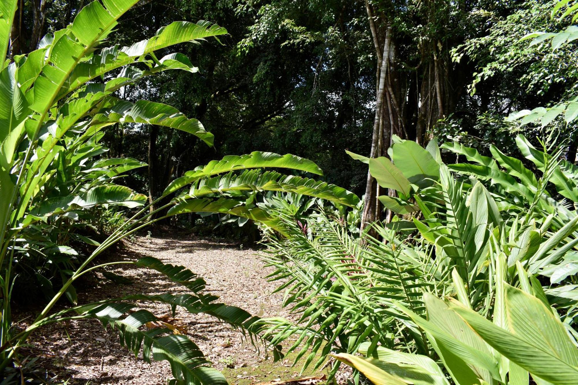 Hotel Arenal Country Inn La Fortuna Dış mekan fotoğraf