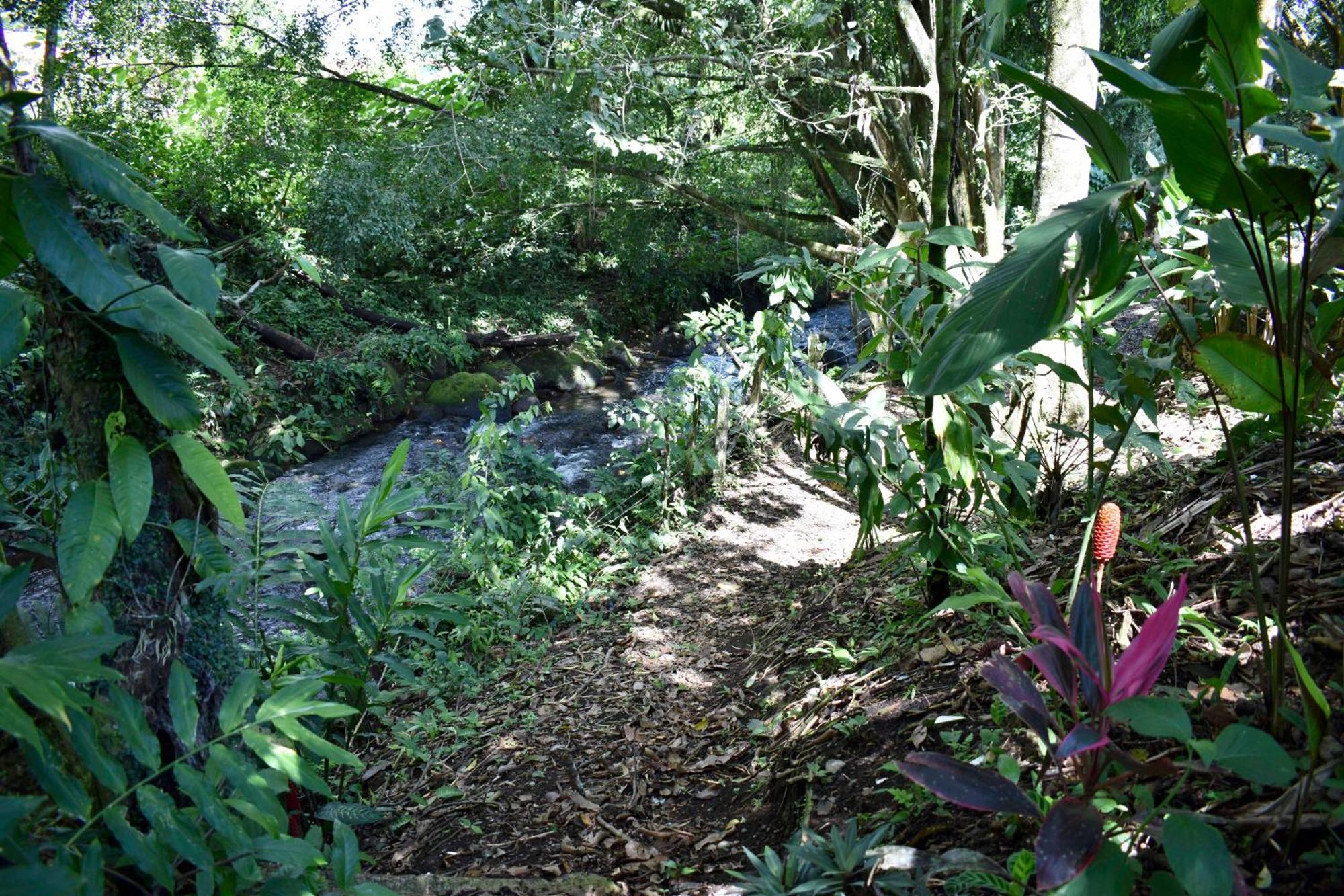 Hotel Arenal Country Inn La Fortuna Dış mekan fotoğraf