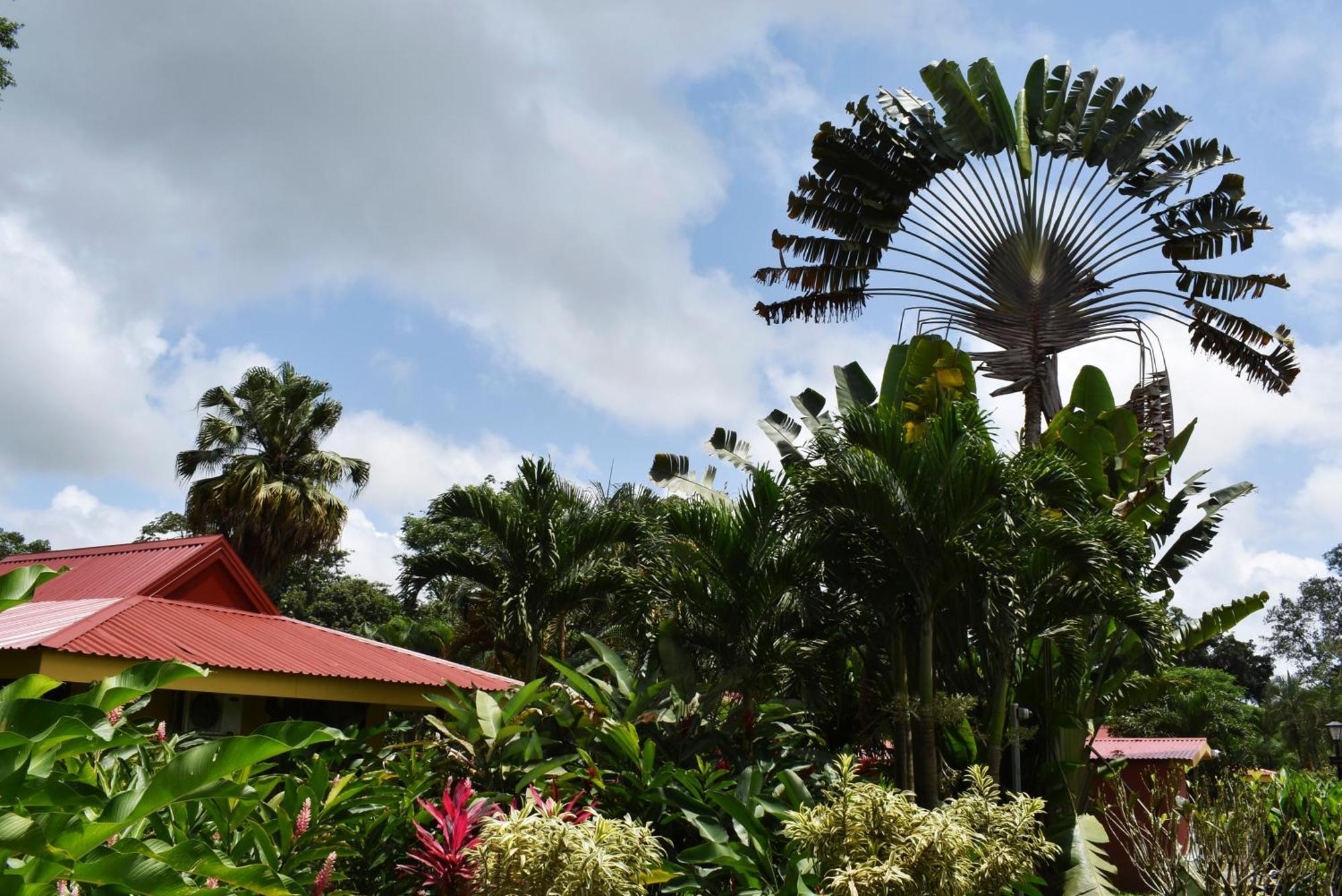 Hotel Arenal Country Inn La Fortuna Dış mekan fotoğraf