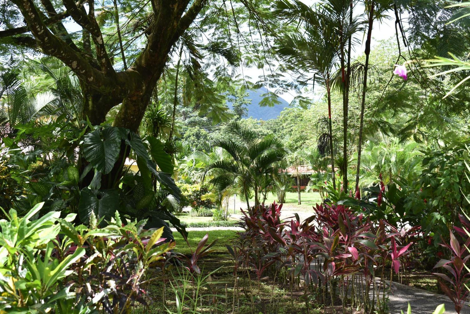 Hotel Arenal Country Inn La Fortuna Dış mekan fotoğraf